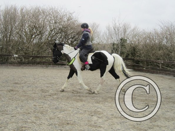 Jade JD schooling (3)