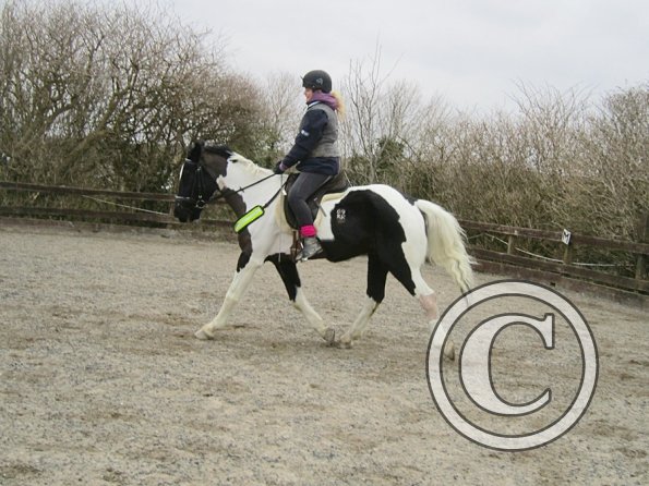 Jade JD schooling (4)