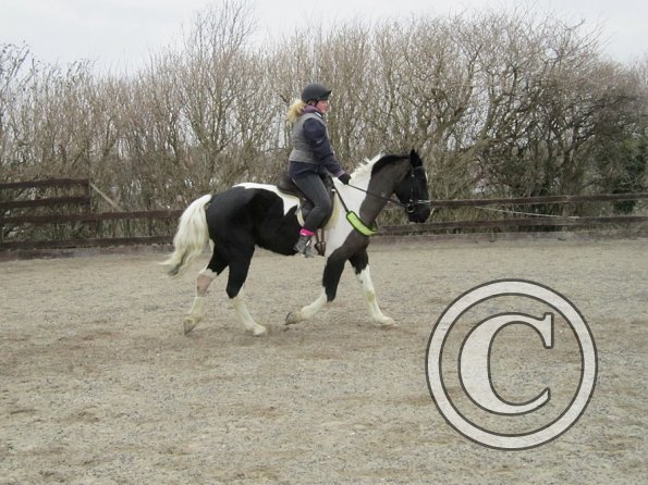 Jade JD schooling (5)