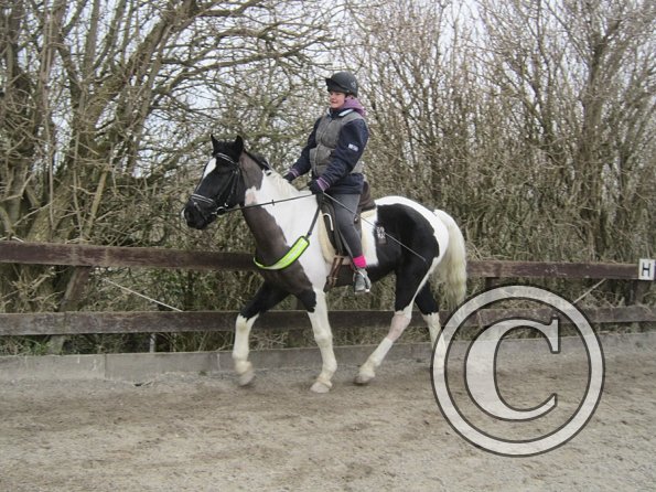 Jade JD schooling (6)