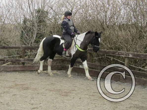 Jade JD schooling (7)