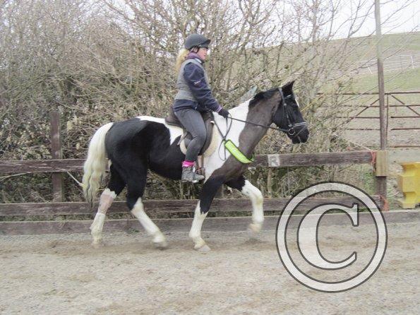 Jade JD schooling (8)