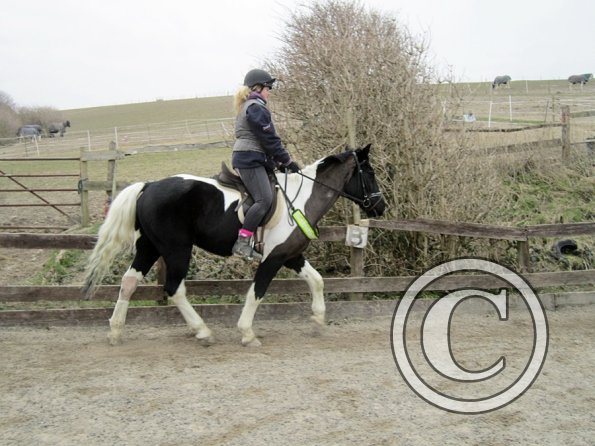 Jade JD schooling (9)