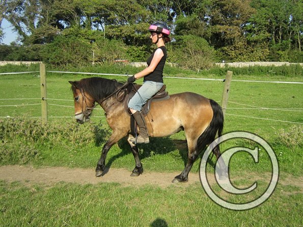 Julia and Appley July 2012 (5)