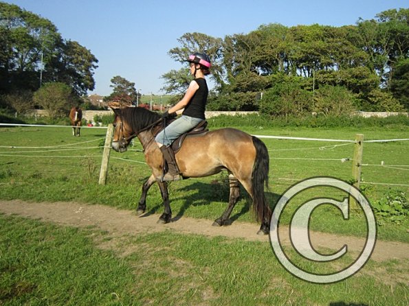 Julia and Appley July 2012 (7)