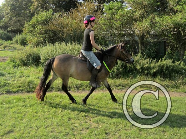 Julia and Appley July 2012 (8)