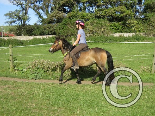 Julia schooling (10)