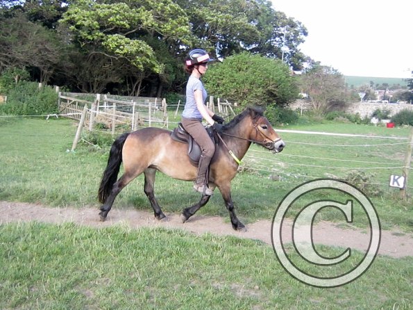 Julia schooling (11)