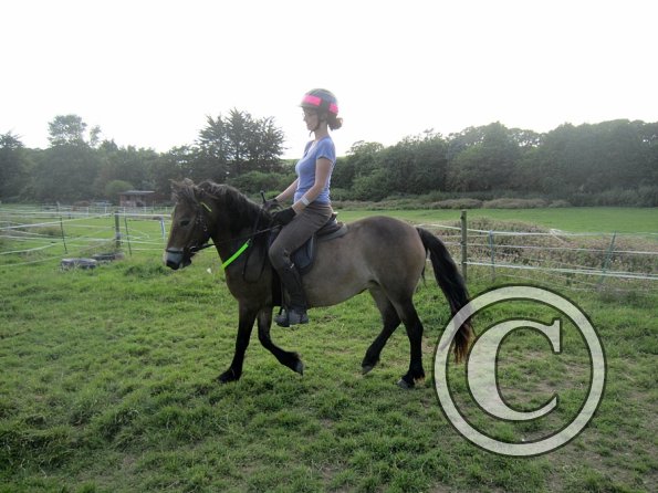 Julia schooling (12)