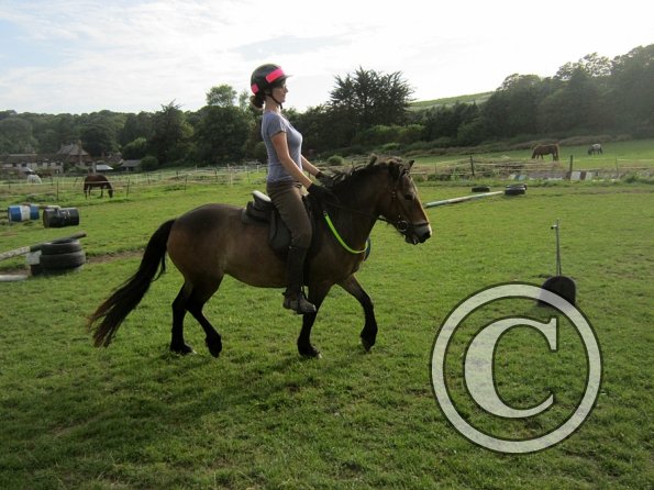 Julia schooling (13)