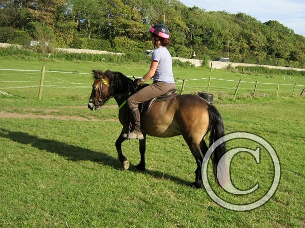 Julia schooling (14)