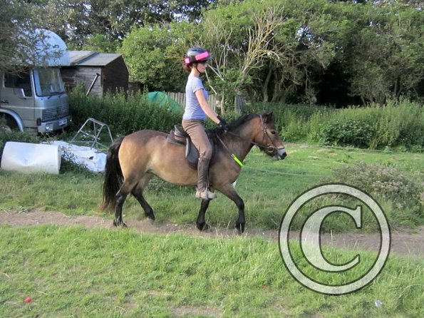 Julia schooling (15)