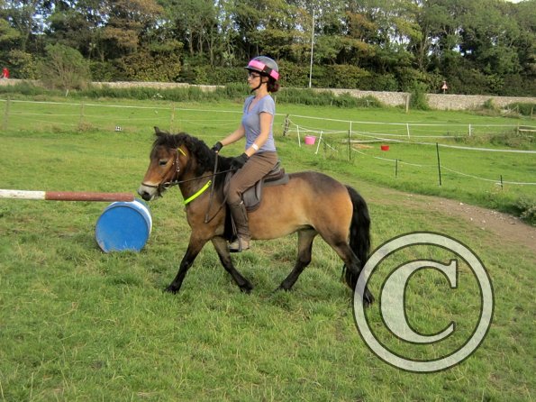 Julia schooling (16)