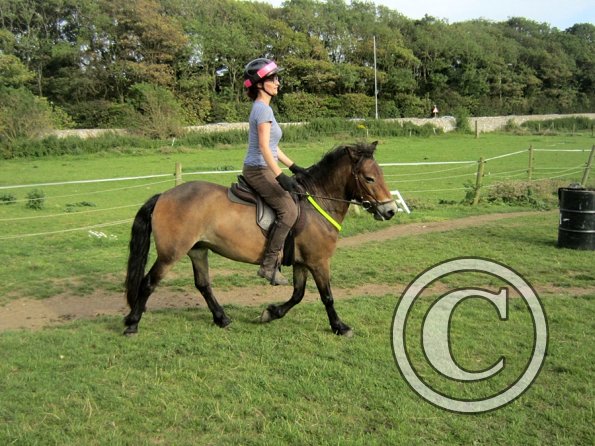 Julia schooling (17)