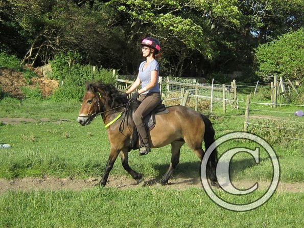 Julia schooling (18)