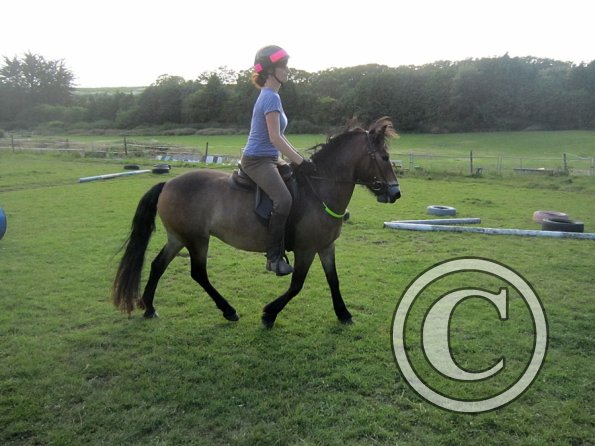 Julia schooling (19)