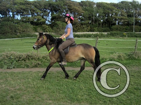 Julia schooling (20)