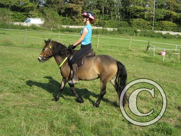 x Julia 10 August 2012 (15)