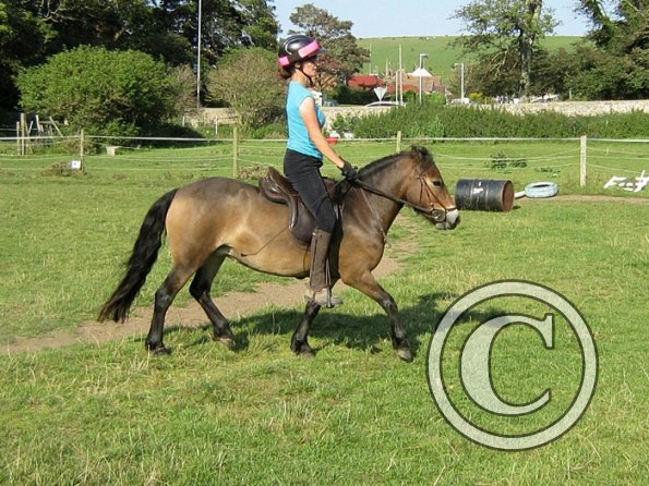 x Julia 10 August 2012 (18)