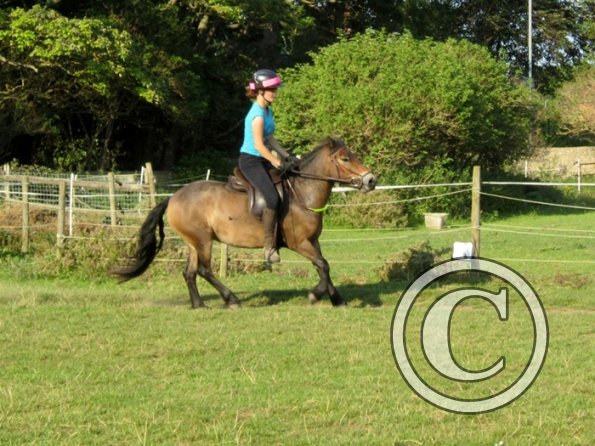 x Julia 10 August 2012 (2)