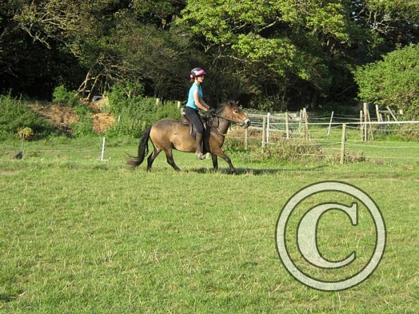 x Julia 10 August 2012 (55)