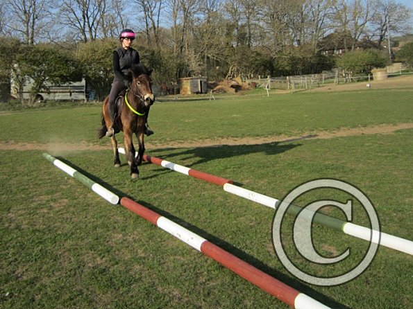 Julia and Appley (13)