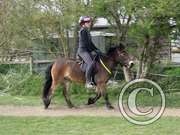 Julia and Appley (6)