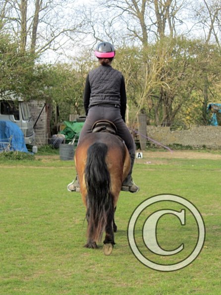 Julia and Appley (8)