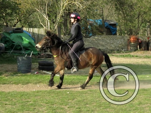 Julia and Appley (9)