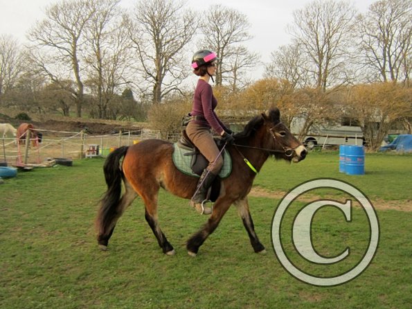 Julie and Appley (14)