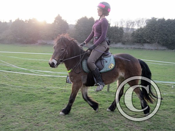 Julie and Appley (15)