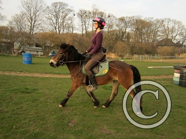 Julie and Appley (16)