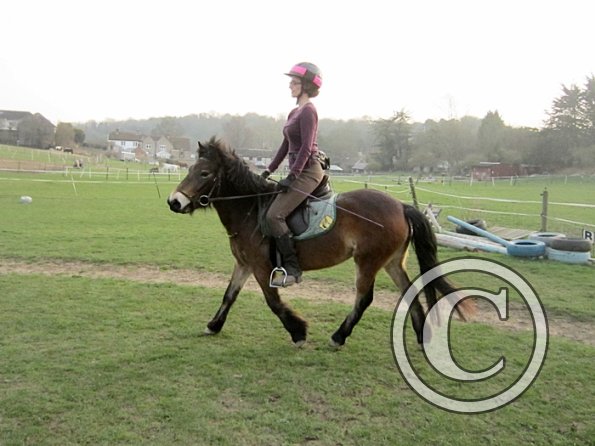 Julie and Appley (24)