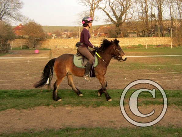 Julie and Appley (27)