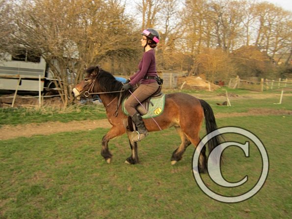 Julie and Appley (41)