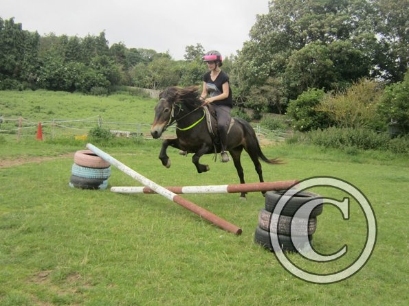 Julia jumping Dangel (3)