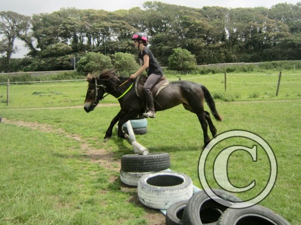 Julia jumping Dangel (4)