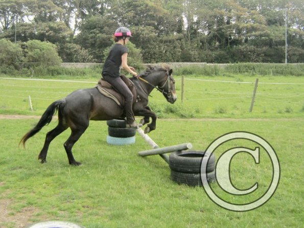 Julia jumping Dangel (5)