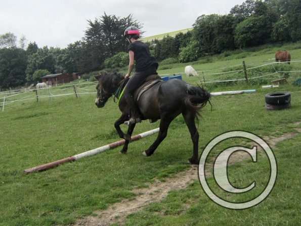 Julia jumping Dangel (7)