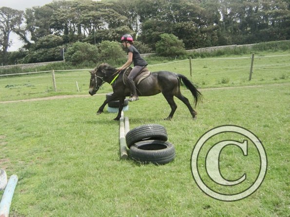 Julia jumping Dangel (8)