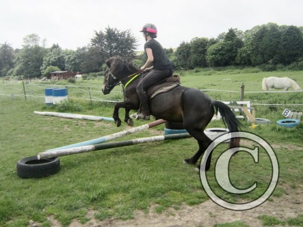 Julia jumping Dangel