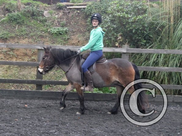 Julia and Appley (11)