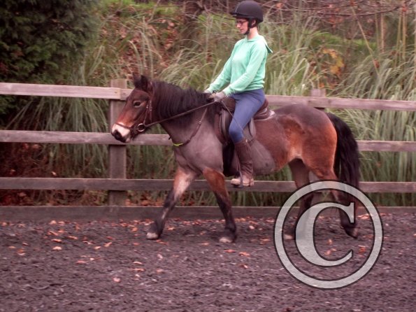 Julia and Appley (12)