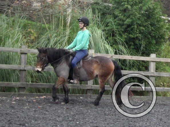 Julia and Appley (14)