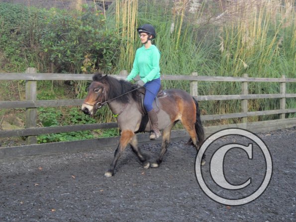 Julia and Appley (16)