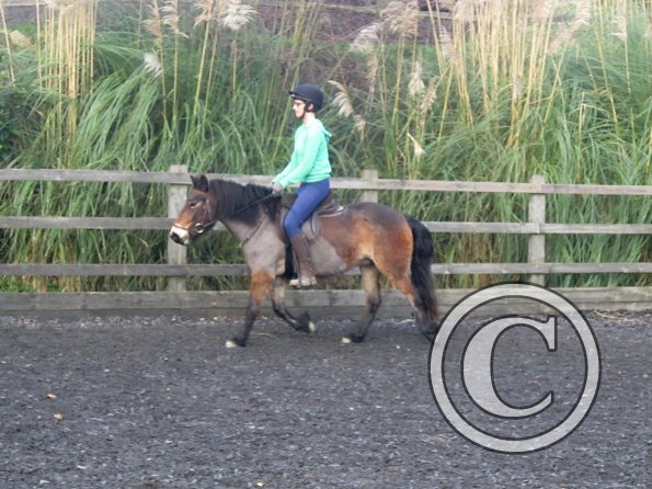 Julia and Appley (18)