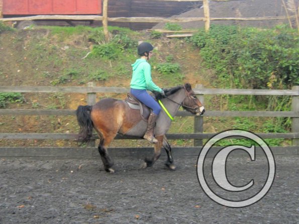 Julia and Appley (19)