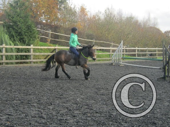 Julia and Appley (21)