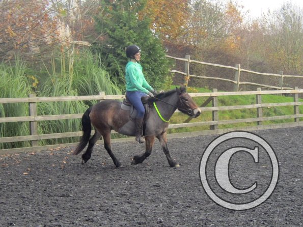 Julia and Appley (22)