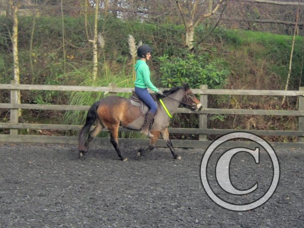 Julia and Appley (24)